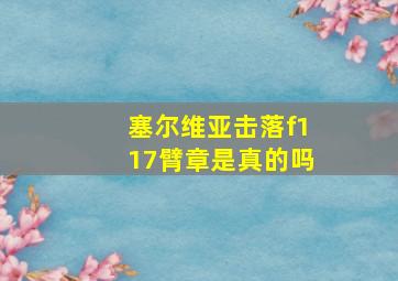 塞尔维亚击落f117臂章是真的吗