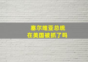 塞尔维亚总统在美国被抓了吗