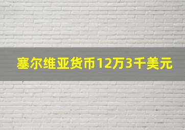 塞尔维亚货币12万3千美元