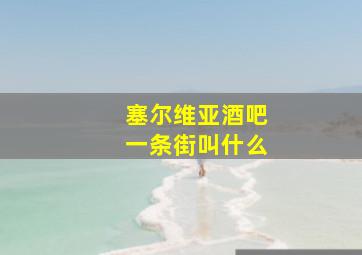 塞尔维亚酒吧一条街叫什么