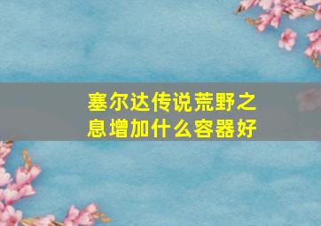 塞尔达传说荒野之息增加什么容器好