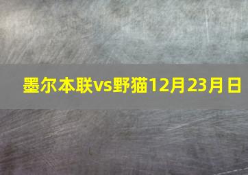 墨尔本联vs野猫12月23月日