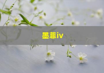 墨菲iv