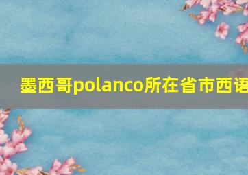 墨西哥polanco所在省市西语