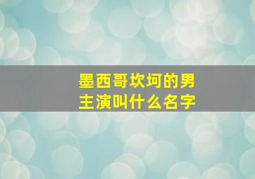 墨西哥坎坷的男主演叫什么名字