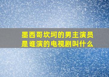 墨西哥坎坷的男主演员是谁演的电视剧叫什么