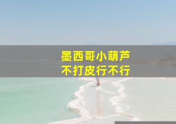 墨西哥小葫芦不打皮行不行