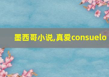 墨西哥小说,真爱consuelo