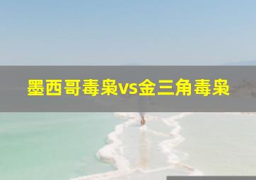 墨西哥毒枭vs金三角毒枭