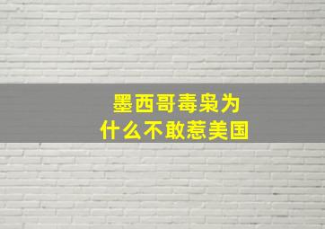 墨西哥毒枭为什么不敢惹美国