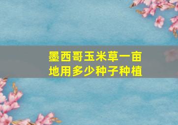 墨西哥玉米草一亩地用多少种子种植