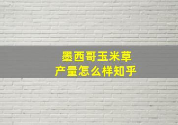 墨西哥玉米草产量怎么样知乎