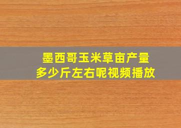 墨西哥玉米草亩产量多少斤左右呢视频播放