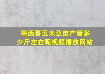 墨西哥玉米草亩产量多少斤左右呢视频播放网站