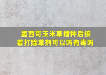 墨西哥玉米草播种后接着打除草剂可以吗有毒吗