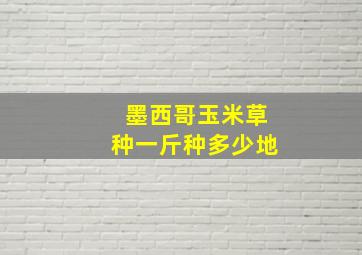 墨西哥玉米草种一斤种多少地