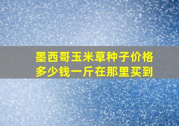 墨西哥玉米草种子价格多少钱一斤在那里买到