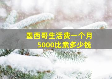 墨西哥生活费一个月5000比索多少钱