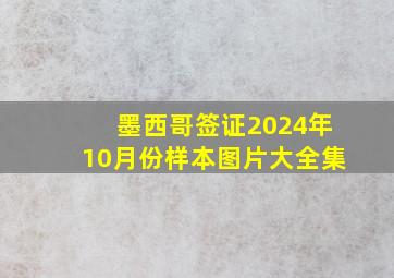 墨西哥签证2024年10月份样本图片大全集