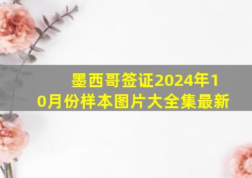 墨西哥签证2024年10月份样本图片大全集最新