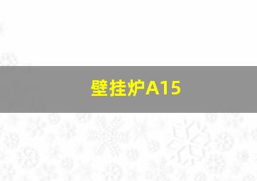 壁挂炉A15