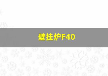 壁挂炉F40