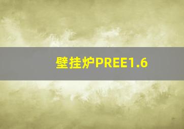 壁挂炉PREE1.6