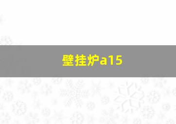 壁挂炉a15