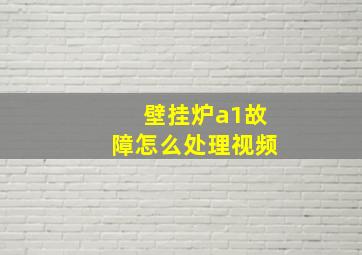 壁挂炉a1故障怎么处理视频