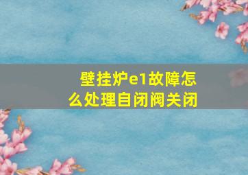 壁挂炉e1故障怎么处理自闭阀关闭