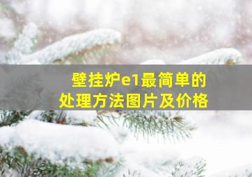 壁挂炉e1最简单的处理方法图片及价格