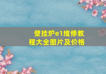 壁挂炉e1维修教程大全图片及价格