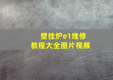 壁挂炉e1维修教程大全图片视频