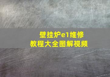 壁挂炉e1维修教程大全图解视频