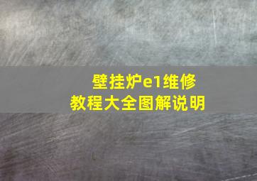 壁挂炉e1维修教程大全图解说明