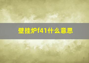 壁挂炉f41什么意思