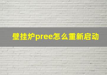 壁挂炉pree怎么重新启动