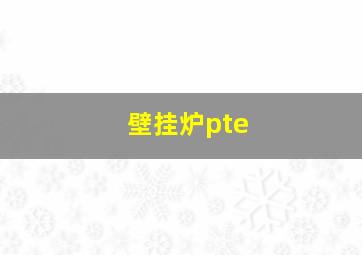 壁挂炉pte