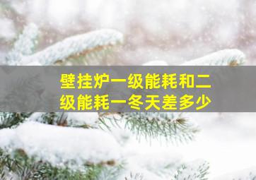 壁挂炉一级能耗和二级能耗一冬天差多少