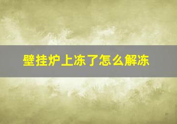 壁挂炉上冻了怎么解冻