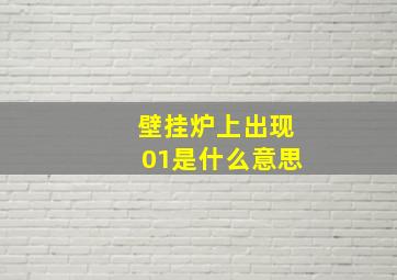 壁挂炉上出现01是什么意思