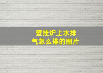 壁挂炉上水排气怎么排的图片