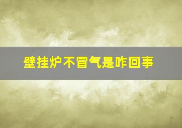 壁挂炉不冒气是咋回事