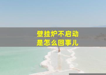 壁挂炉不启动是怎么回事儿