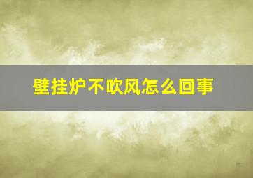 壁挂炉不吹风怎么回事