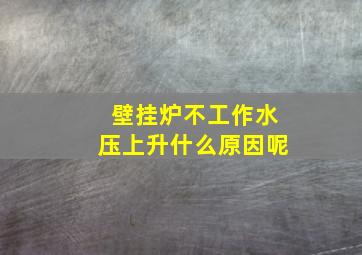 壁挂炉不工作水压上升什么原因呢