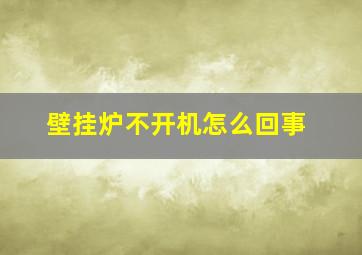 壁挂炉不开机怎么回事