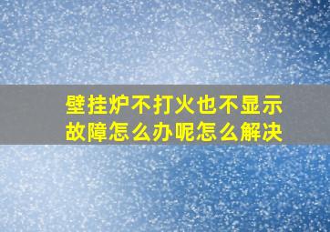 壁挂炉不打火也不显示故障怎么办呢怎么解决