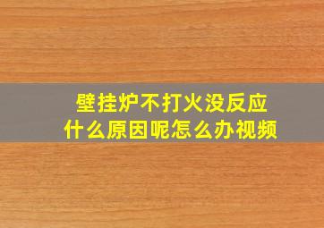 壁挂炉不打火没反应什么原因呢怎么办视频