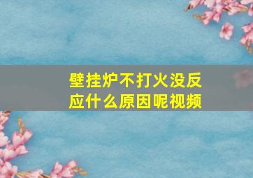 壁挂炉不打火没反应什么原因呢视频